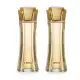 Combo Linda Desodorante Colônia 100ml ( 2 itens)