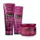 Combo Siàge Pro Cronology: Shampoo 250ml + Condicionador 200ml + Máscara de Hidratação 250g (1)