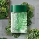Arbo Botanic Desodorante Colônia 100ml (5)