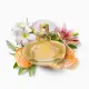 Lily Eau de Parfum Nova Versão 30ml (2)
