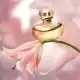 Lily Eau de Parfum 75ml (5)