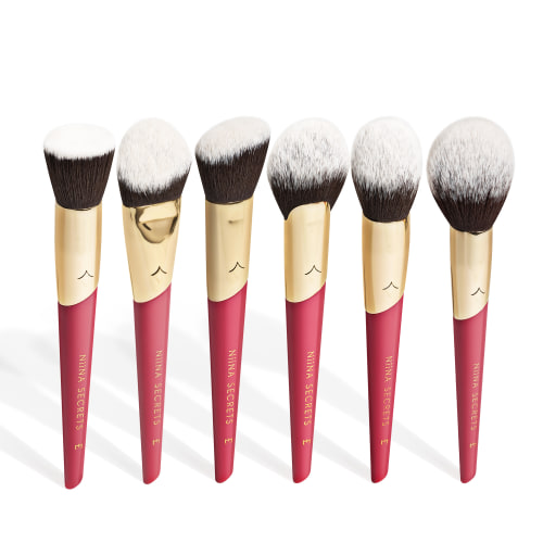 Kit Completo de Pincéis Profissionais Niina Secrets (6 itens)