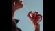 Vídeo: Libre Berry Crush Yves Saint Laurent Eau de Parfum - Perfume Feminino 90ml