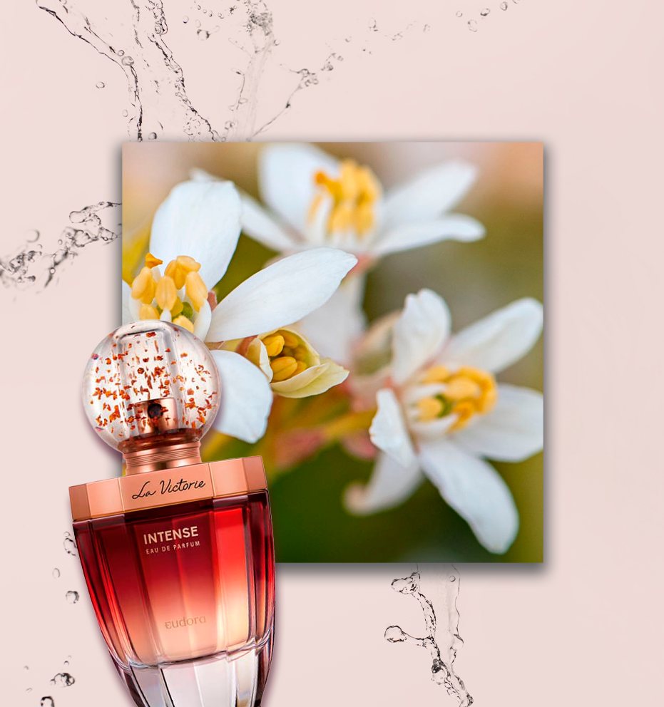 perfume com flor de laranjeira