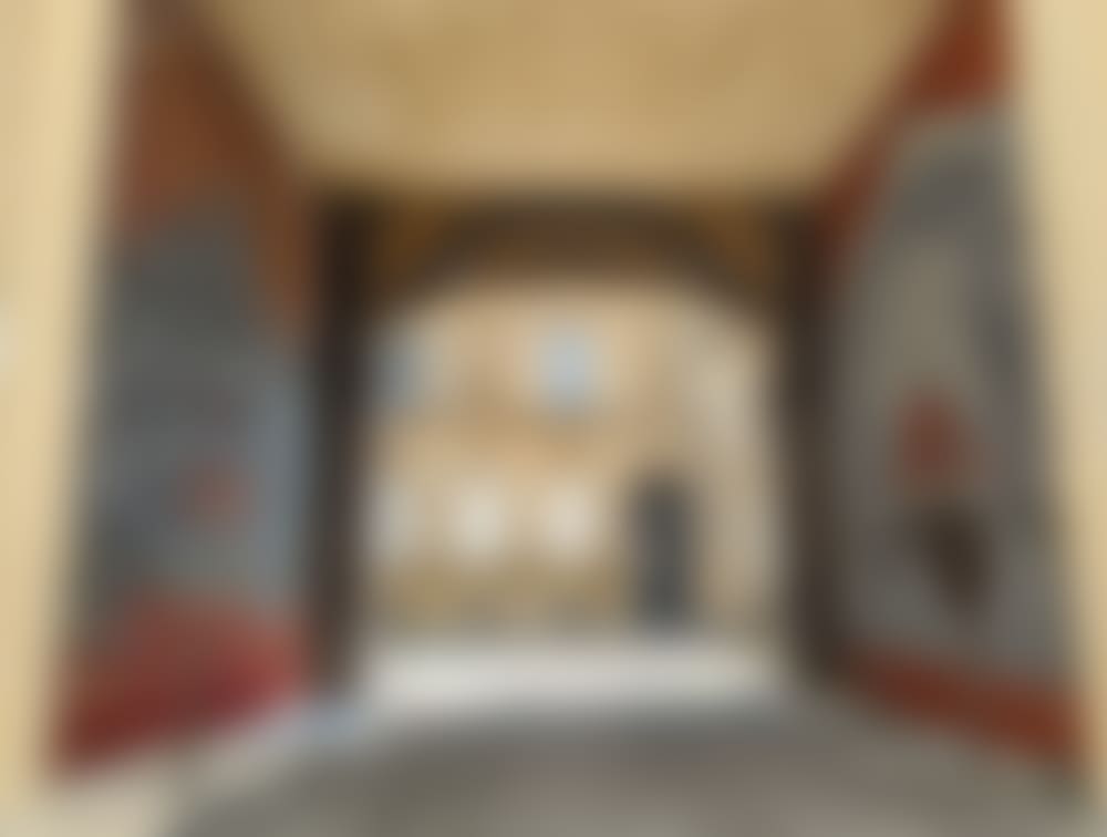 Les Monkey Bird : oeuvre street art au palais gallien