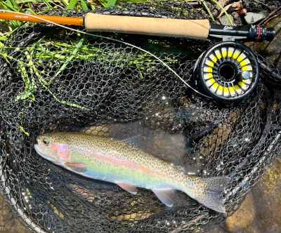 fenix flashlight blinking red PD36R ACE Numskull and compact enough to Fly Fishing Fishing Gear Color:Marquez HOLI