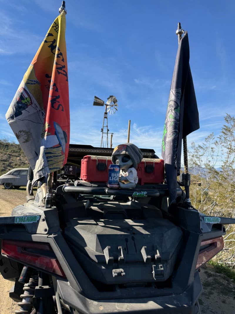 Customer photo: custom flags on whips on the back of a side-by-side