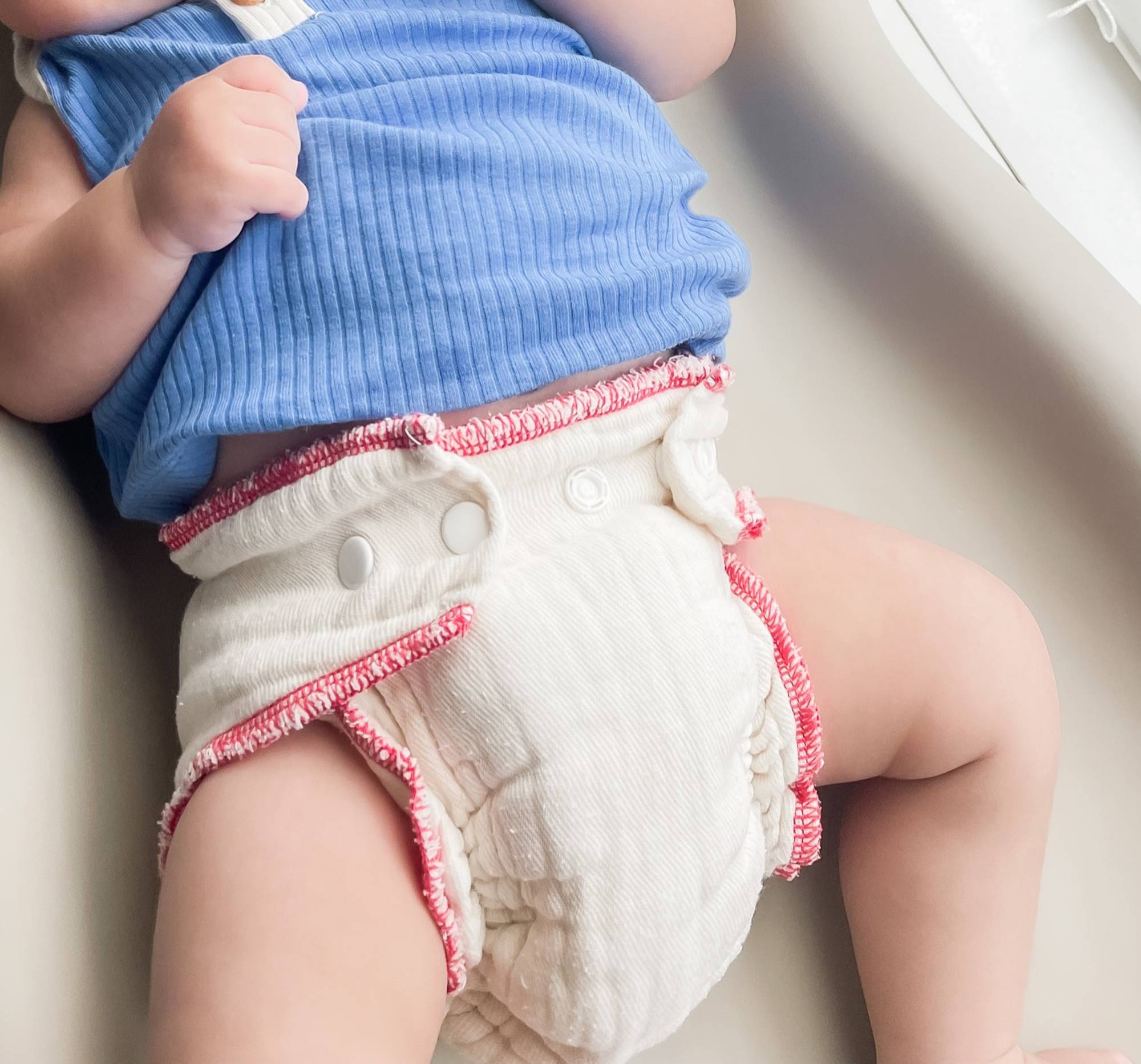 Cloth-eez Workhorse Fitted Diapers