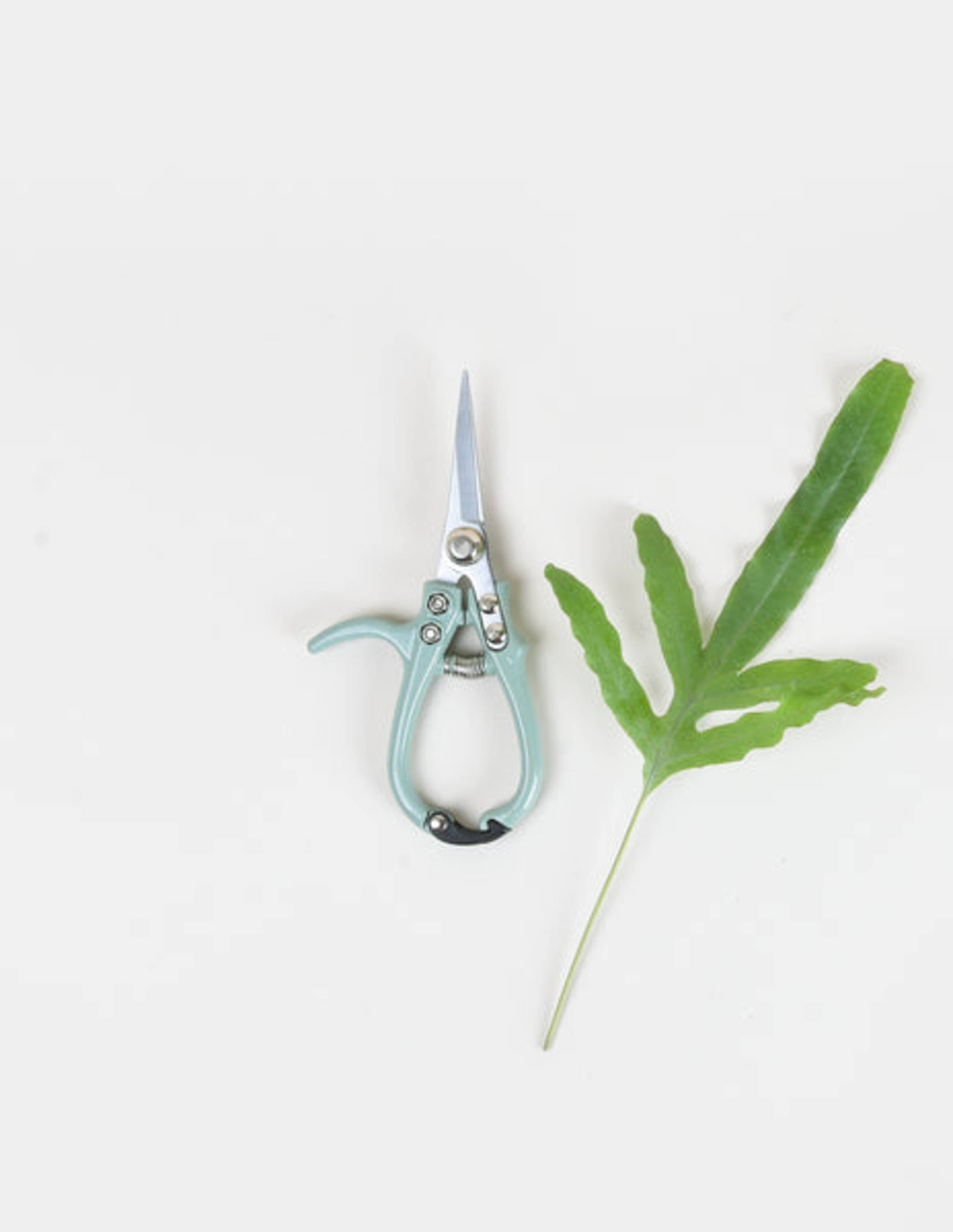 Modern Sprout Garden Pruners