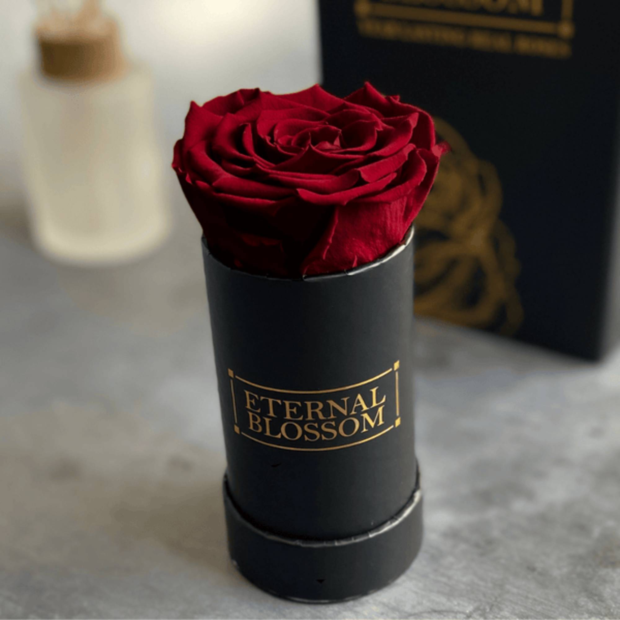 Experience the Beauty of an Everlasting Rose with the Rosa Eterna Plant