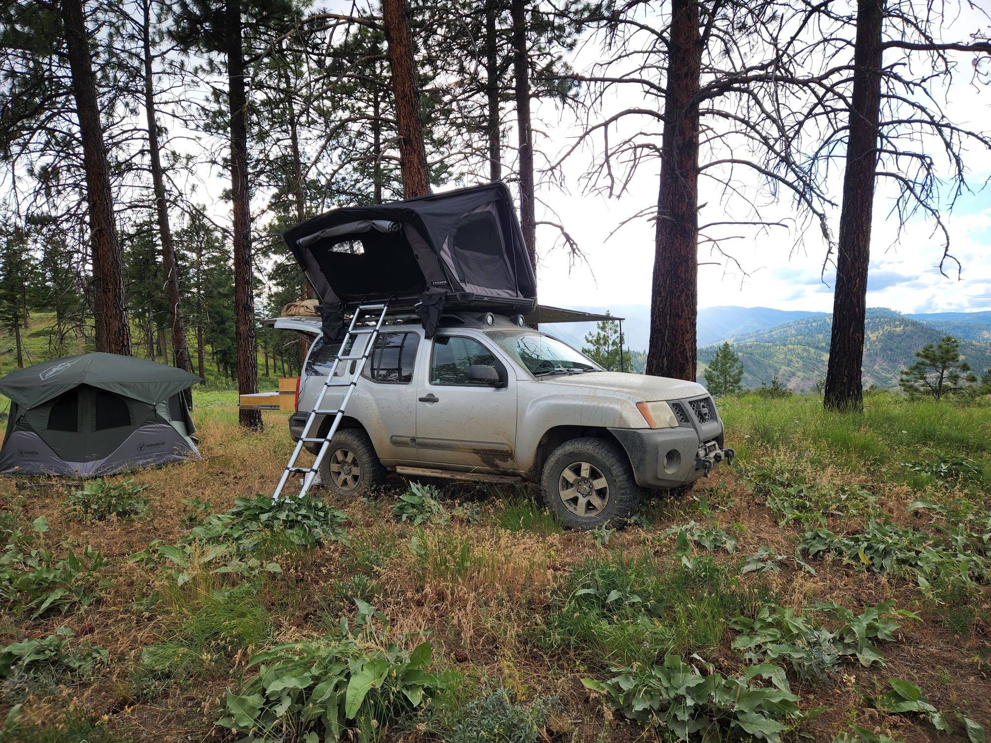 RALEIGH BAREGUNDIE ループタイTOP Freespirit Recreation Odyssey Series Hard Top Tent (Black
