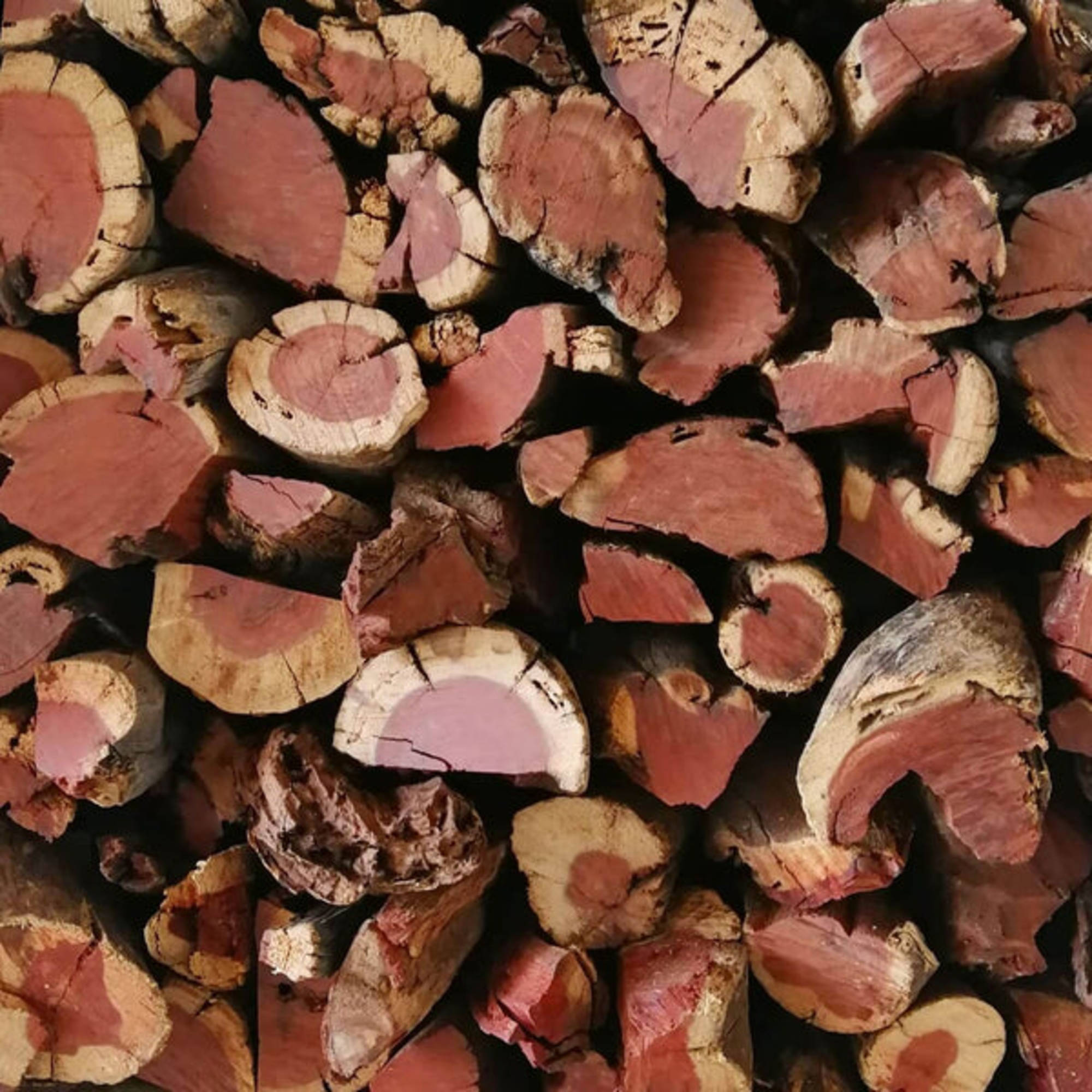 Kameeldoring wood 250KG (Camel Thorn Acacia) | Quarter Ton