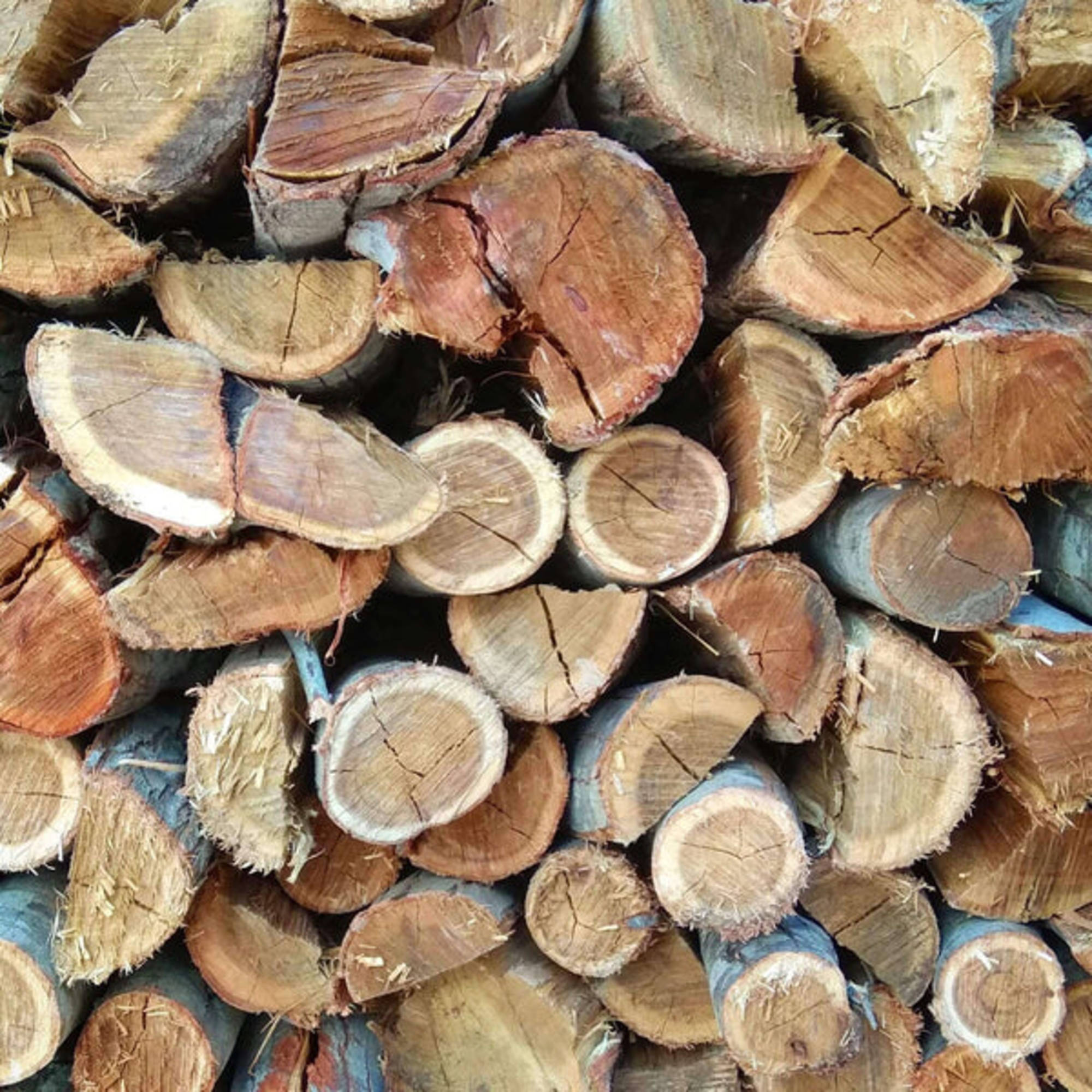 Rooikrans Braai Wood Bags (Local) | 5x 24pc or more | Large