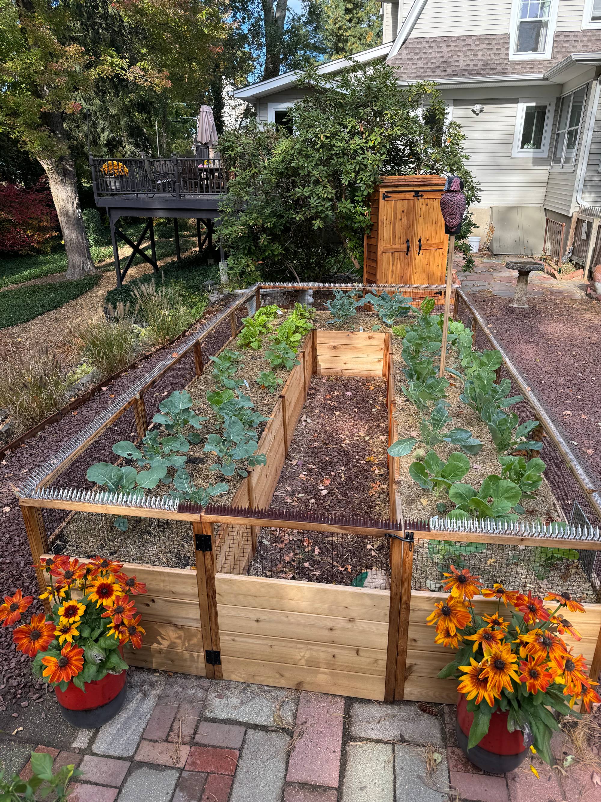 Grow Your Own Produce w/ 8x16 Garden in a Box with Birdnetting
