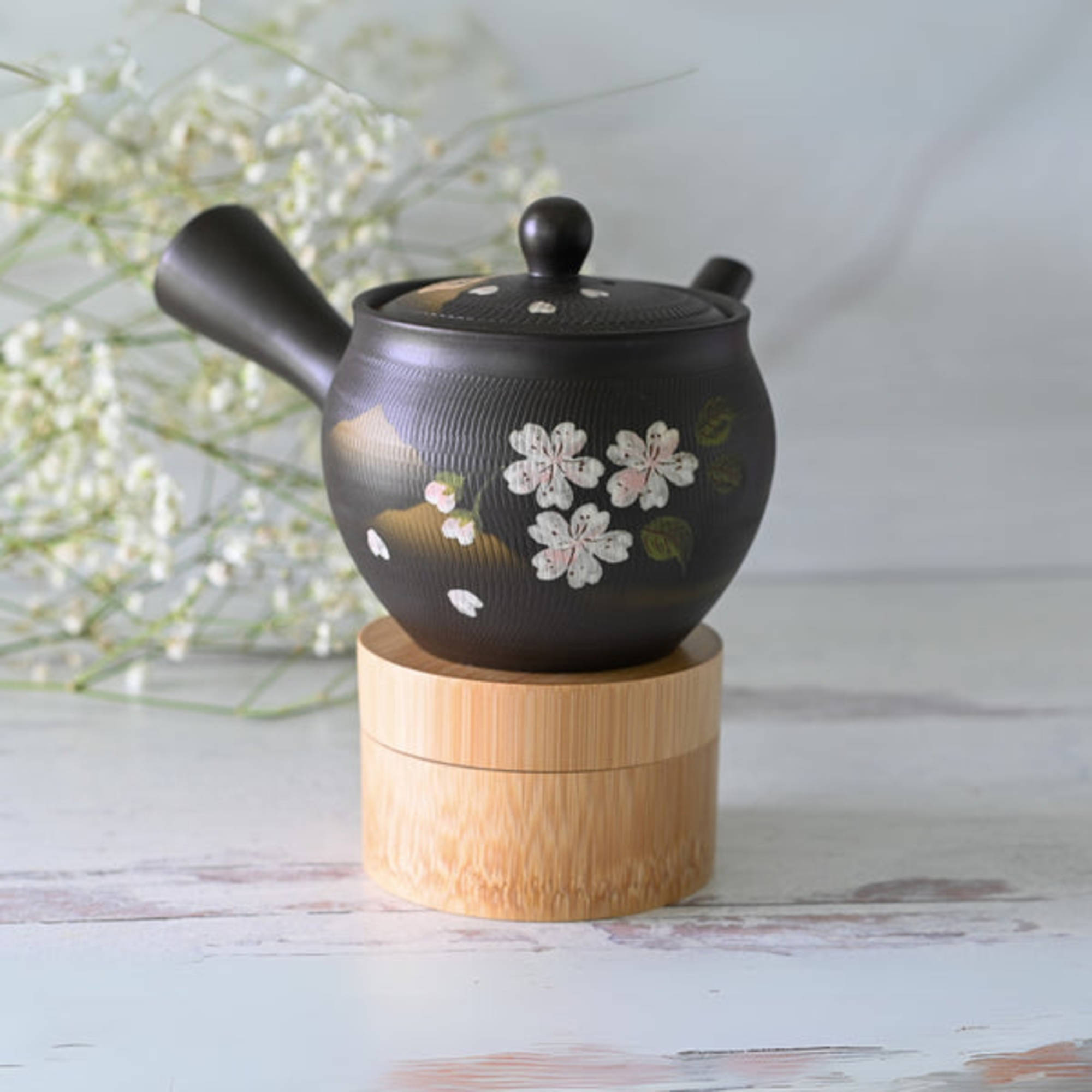 Handcrafted Japanese Kyusu Teapot with Filters (350 ml