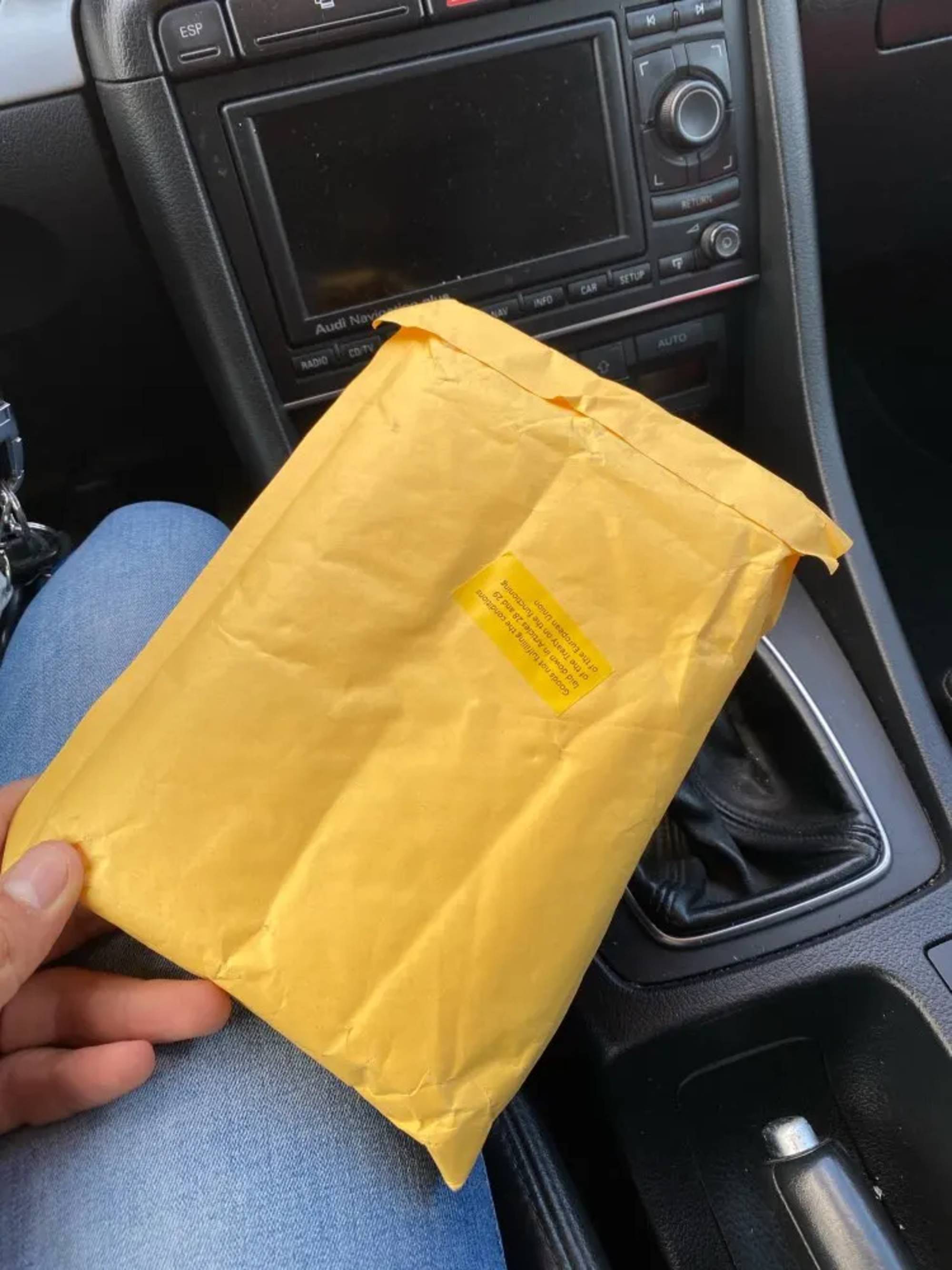 Capa para iPhone em Alcântara — Zelma Fritsch