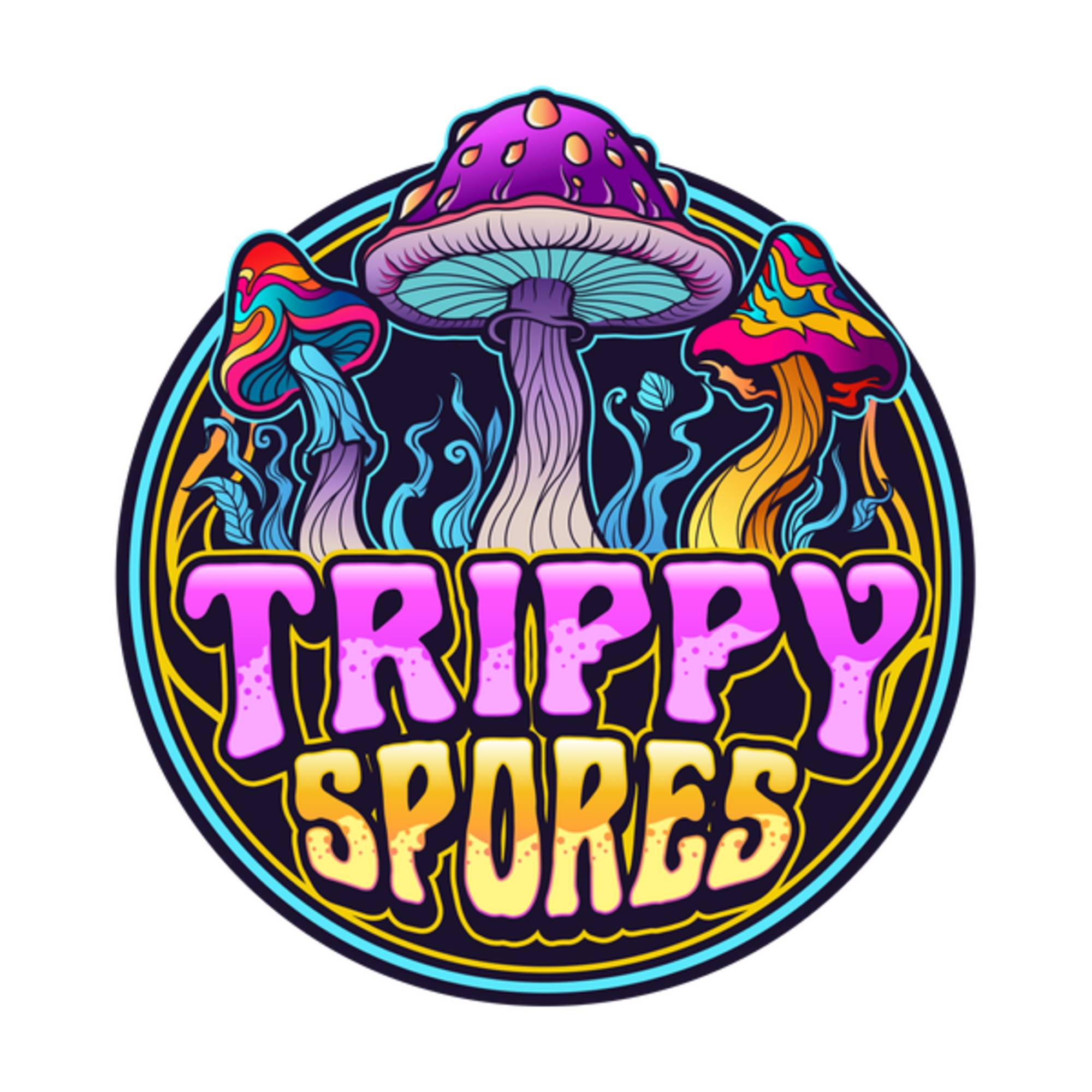 enchantress × pseidon's light mix spore All Products – Spore Sorcery