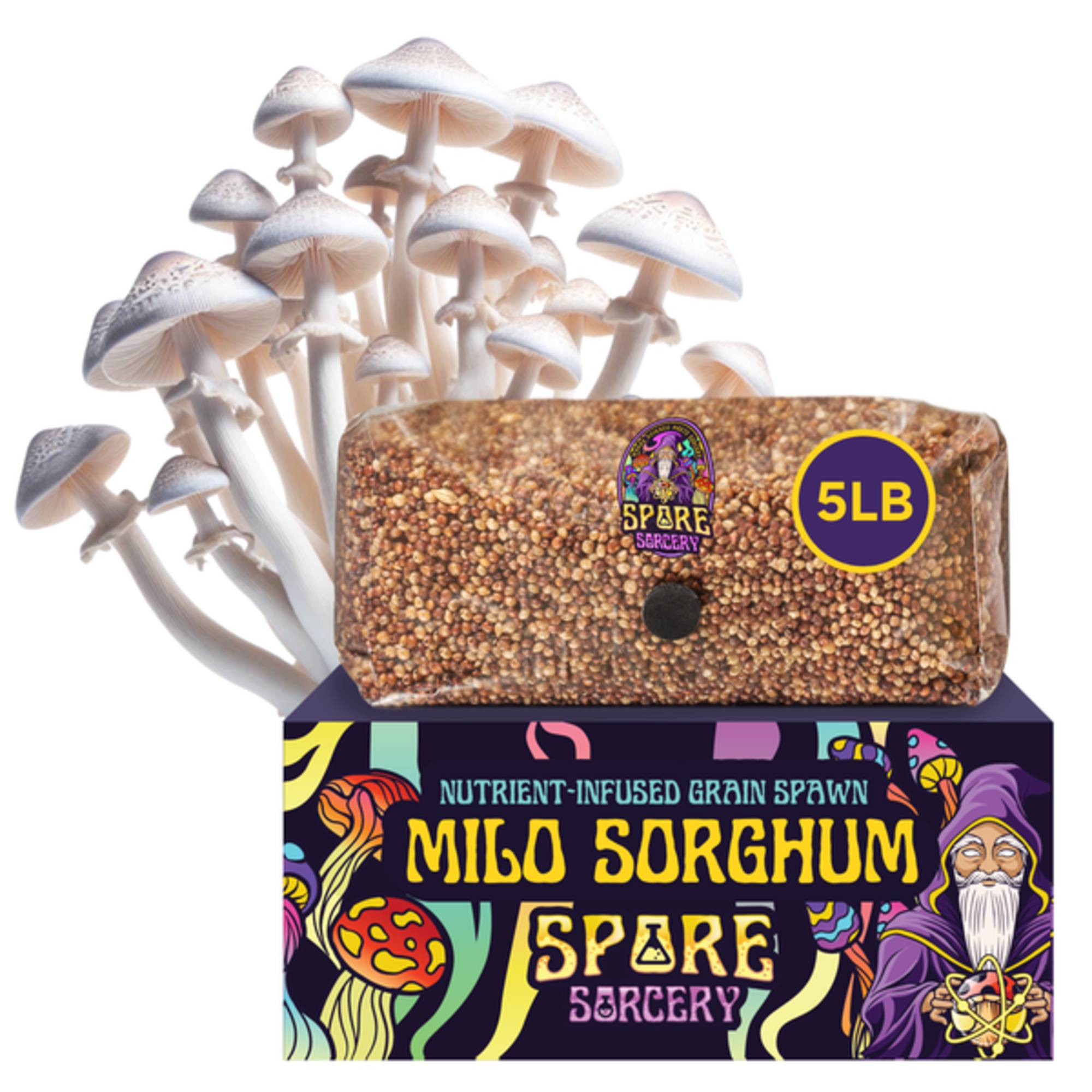 Merch – Spore Sorcery