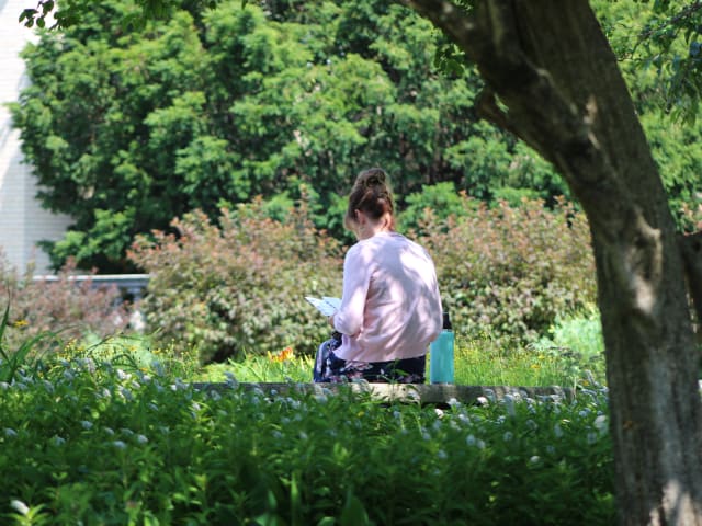 IMG_4547_2_2