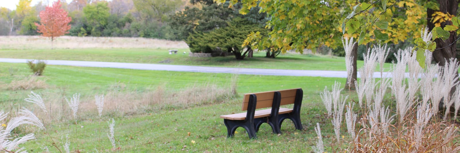 Fall Driveway Bench