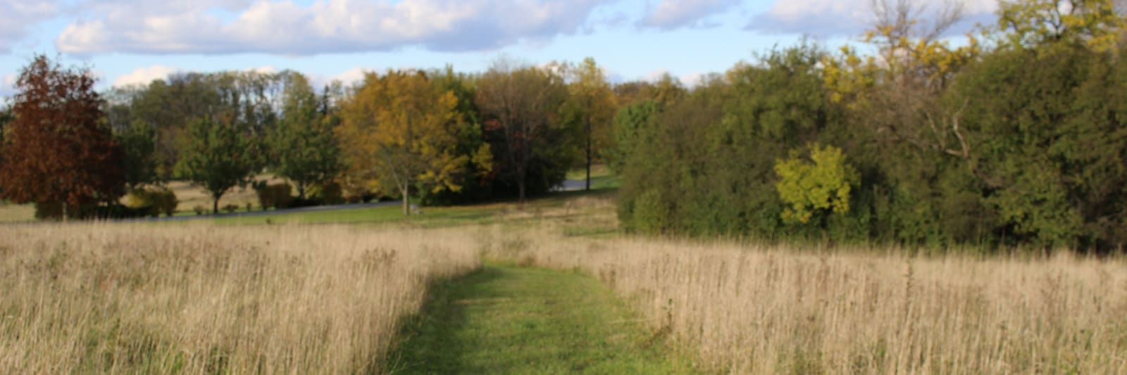 Fall Trail