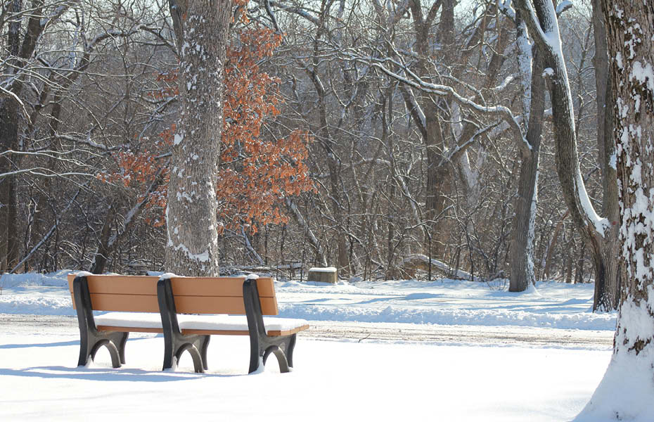 christmas bench