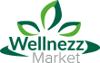logo-wellnezz-s