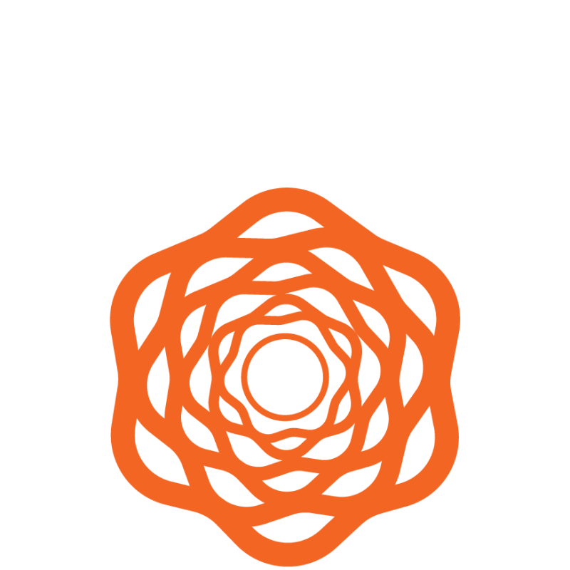 Icon 1