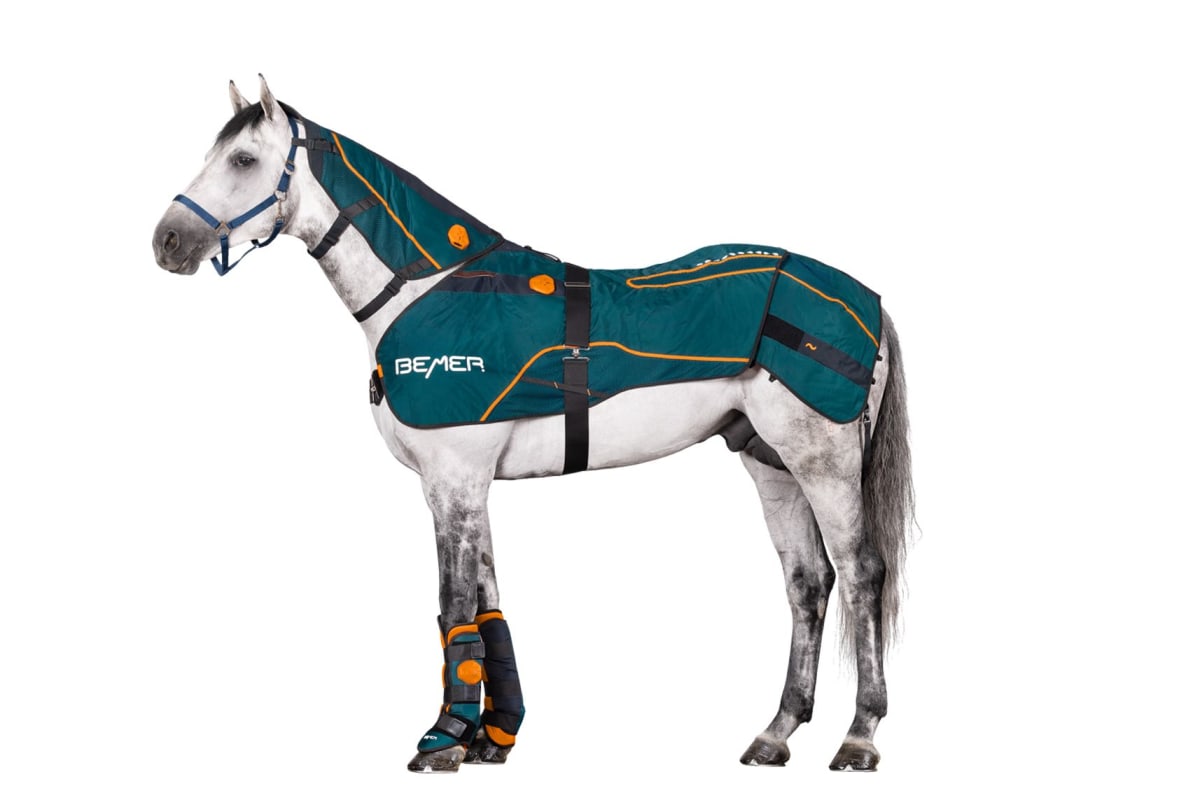 white horse ration 3:2