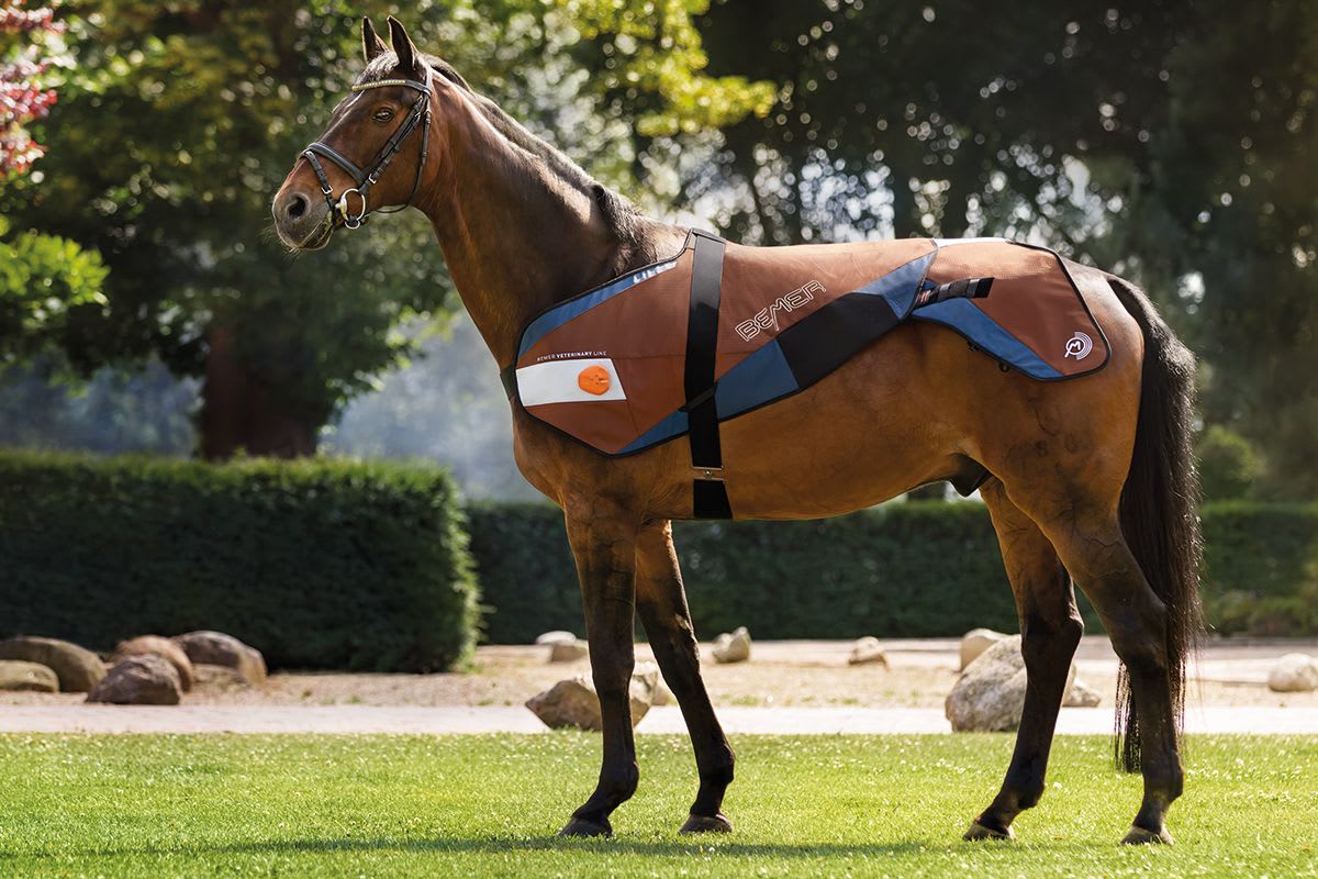 BEMER Veterinary Line
