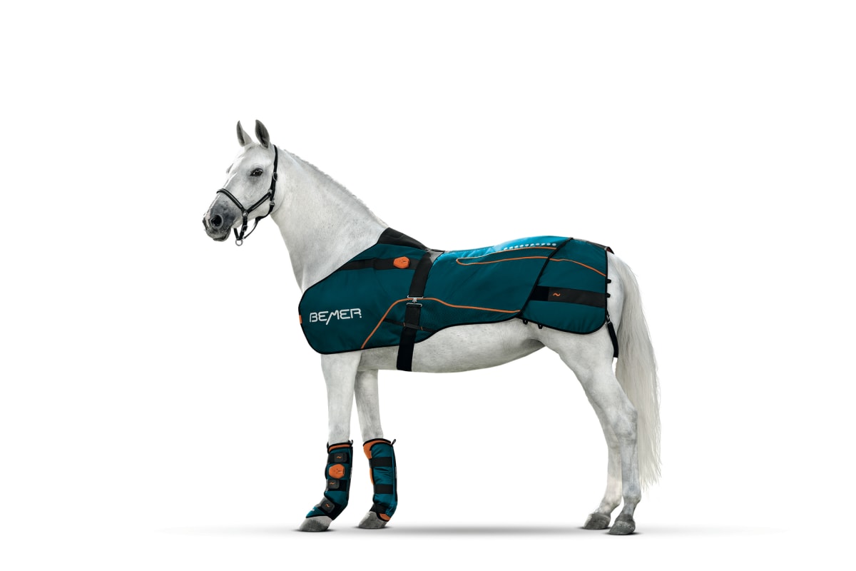 White horse with BEMER Horse-Set