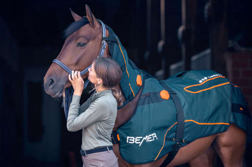 Dame mit BEMER Pferd in Stall