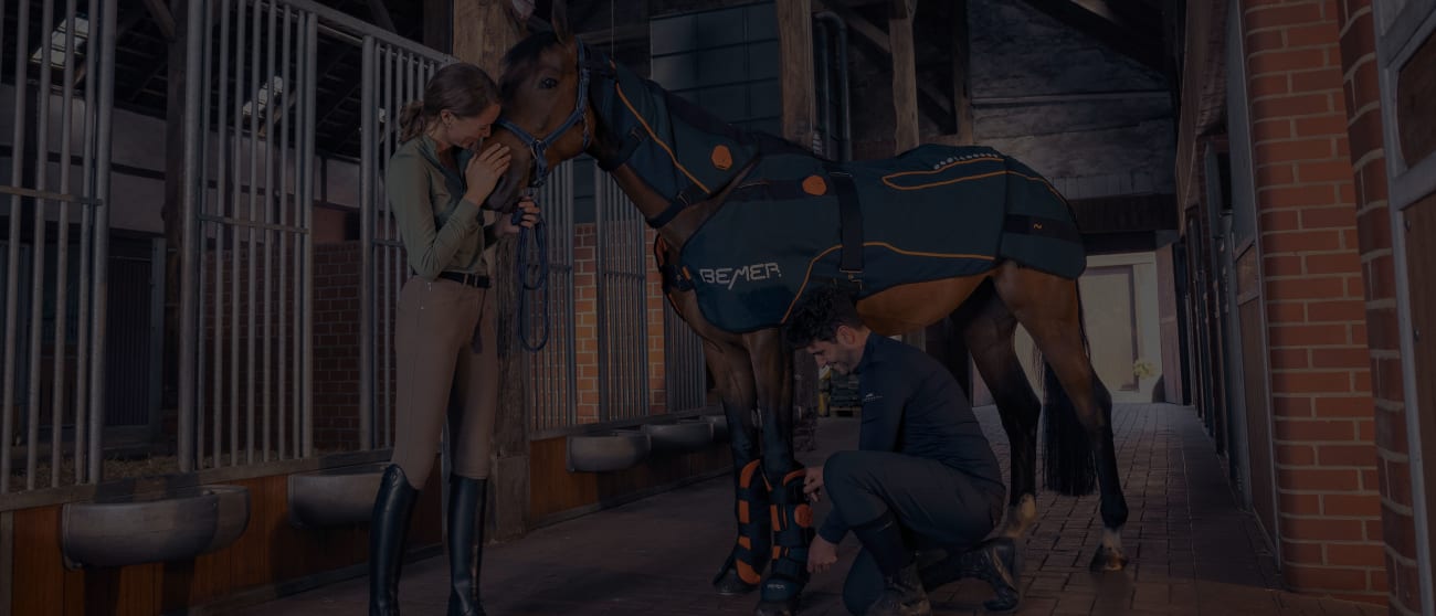 Horse-Set - Scene in the Stable