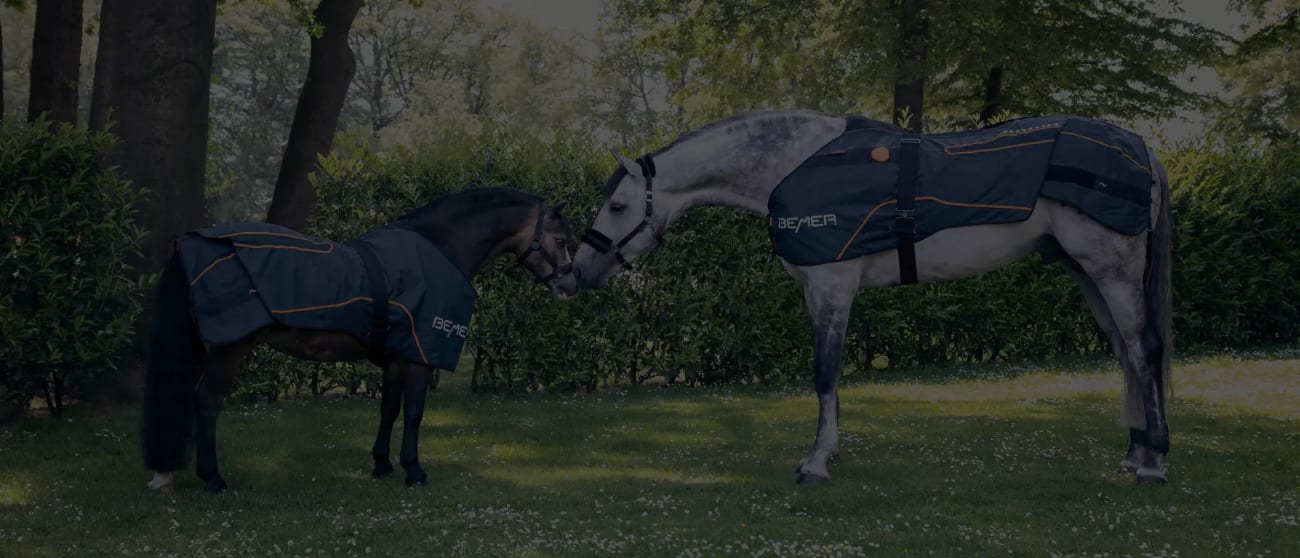 Pony & Horse wearing BEMER horse blankets while standing in a field