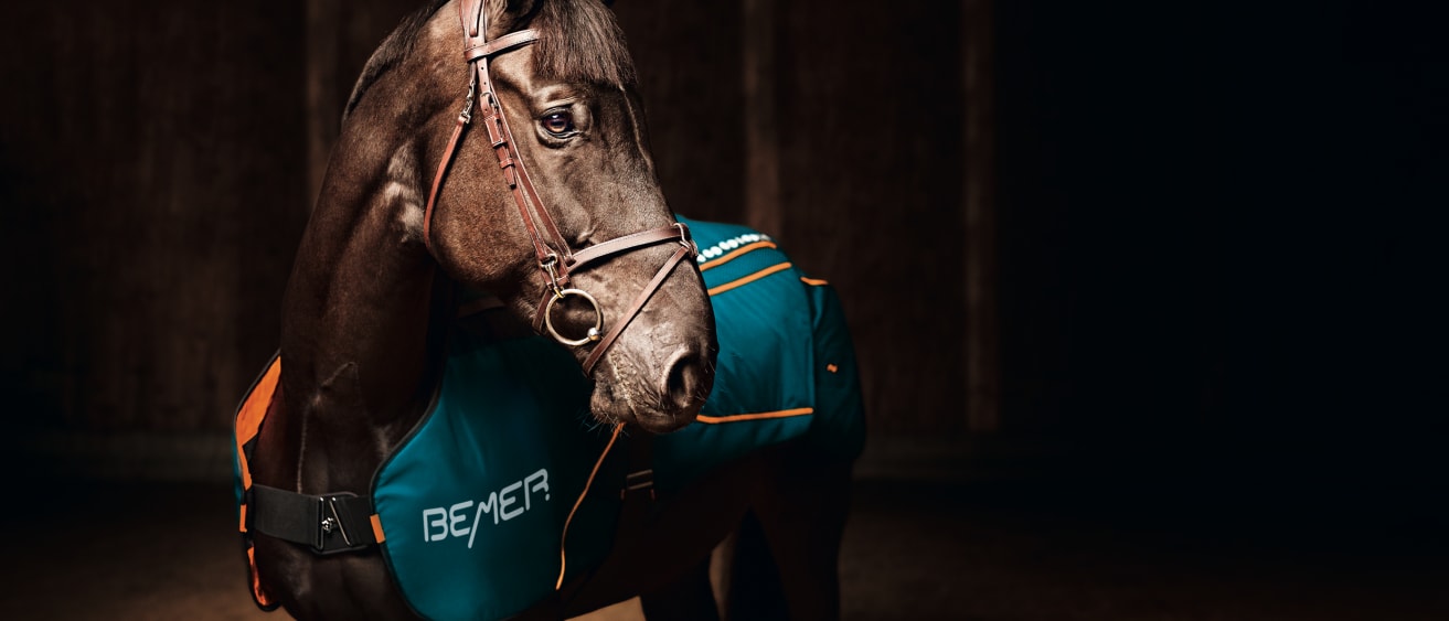 La couverture cheval: élément central du Horse-Set – BEMER Group