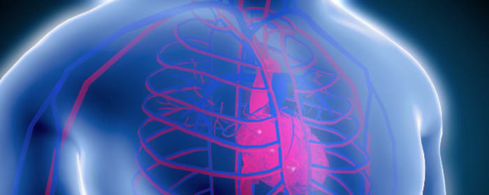Microcirculation