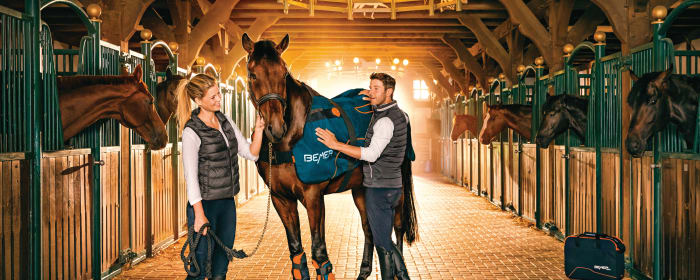 couple with horse and BEMER horse-set in barn