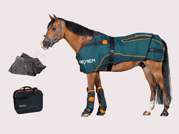 BEMER Horse Set – dækken og gamacher til hest