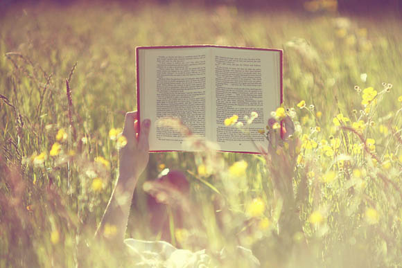 book book