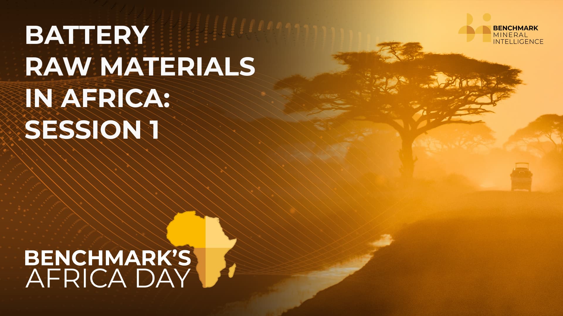 Battery Raw Materials in Africa Session 1 Benchmark Source