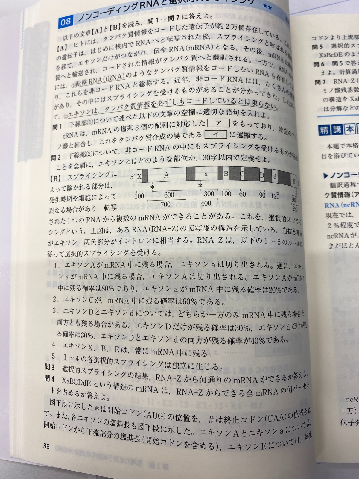 添付画像1