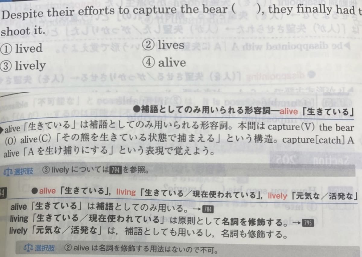 添付画像1