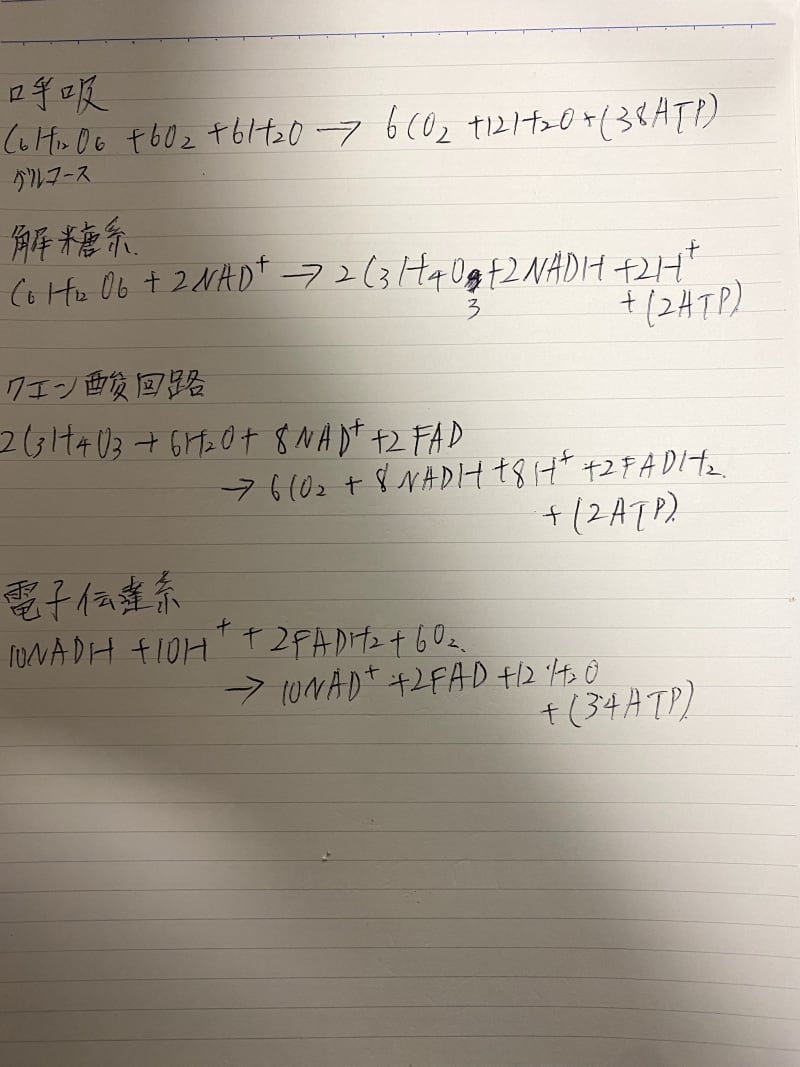 呼吸 解糖系 クエン酸回路 電子伝達系の式が覚えられないので一覧をいただけると嬉 アンサーズ