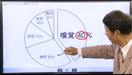 たのまなの講義映像