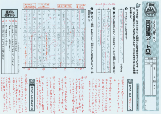 ブンブンどりむの添削指導