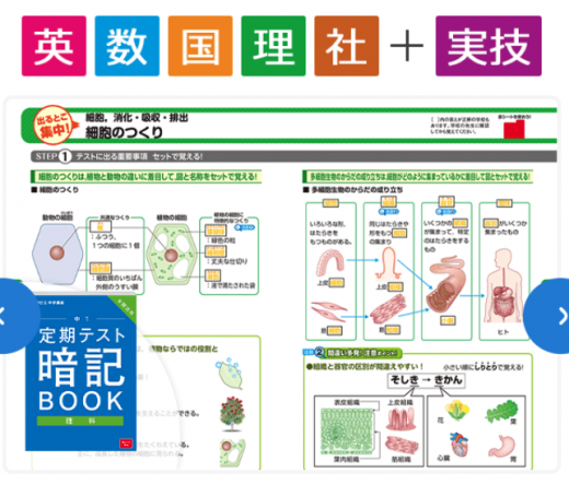 進研ゼミで定期テスト対策