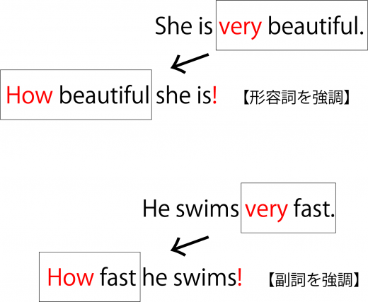 英語の感嘆文とは 作り方からhowとwhatの違い 使い分けまで例文付きで解説 高校英文法の羅針盤