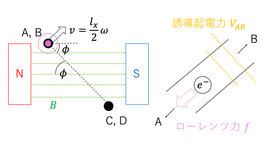 ex-ans1-1