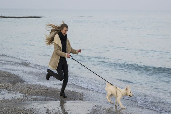 海辺の犬と女性