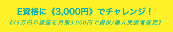 ラビットチャレンジの価格